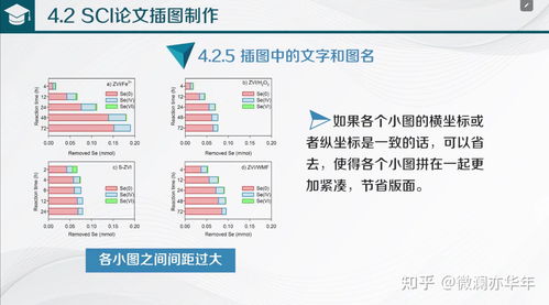 從數據處理到圖表制作 高效呈現數據價值的完整流程