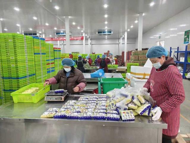 年味漸濃，果蔬禽畜開啟“春運(yùn)”模式