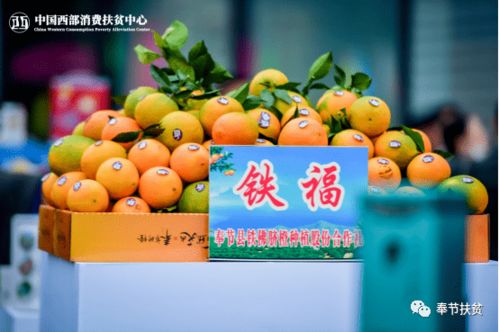 聚力消費(fèi)扶貧高地，答好疫情加試題——重慶奉節(jié)初級(jí)農(nóng)產(chǎn)品突圍紀(jì)實(shí)